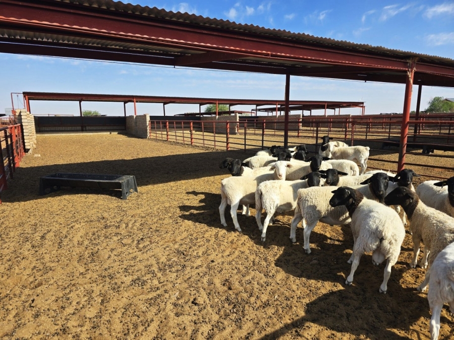 Commercial Property for Sale in Upington Rural Northern Cape